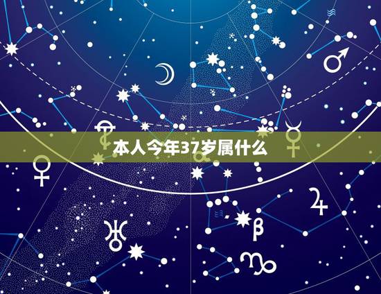本人今年37岁属什么，2022 年37岁属什么生肖