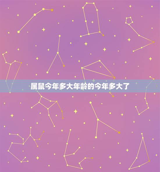属鼠今年多大年龄的今年多大了，属猪的今年多大