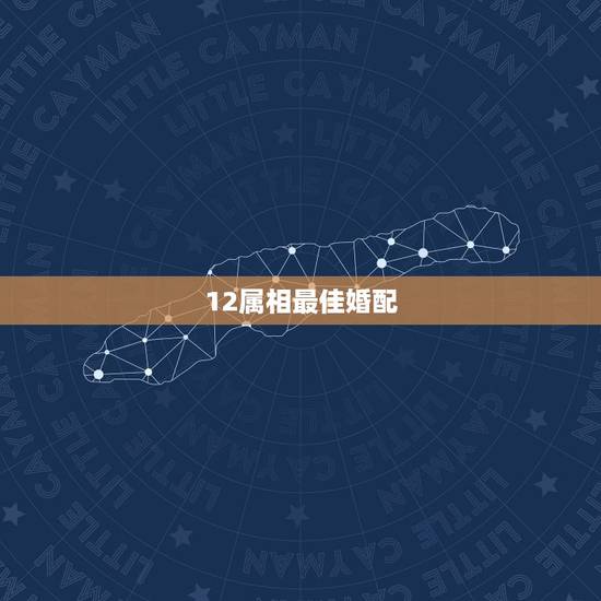 12属相最佳婚配，属蛇和什么属相最配 属蛇的最佳配偶