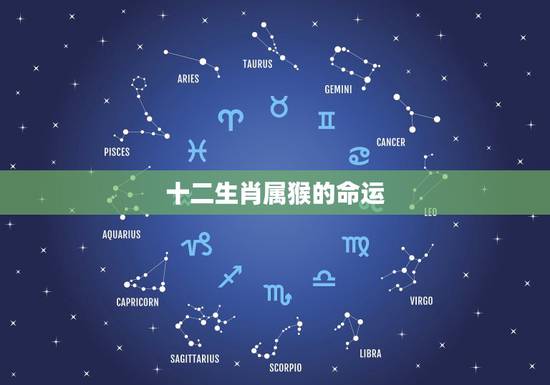 十二生肖属猴的命运 属猴几月生是一等命 十二生肖属猴的命运 属猴几月生是一等命