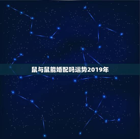 鼠与鼠能婚配吗运势2019年，我属鼠今年运势如何