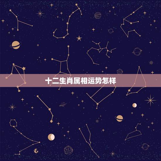 十二生肖属相运势怎样,网上的生肖运势是骗人的吗 十二生肖属相运势怎样,网上的生肖运势是骗人的吗