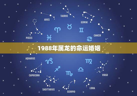 1988年属龙的命运婚姻,1988年属龙的婚姻 命运 1988年属龙的命运婚姻,1988年属龙的婚姻 命运