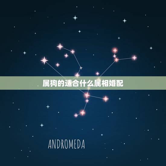 属狗的适合什么属相婚配,属狗婚配和什么属相合适 属狗的适合什么属相婚配,属狗婚配和什么属相合适