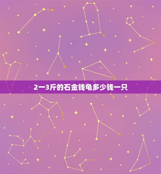 2一3斤的石金钱龟多少钱一只,3斤的野生石金钱龟多少钱一只? 2一3斤的石金钱龟多少钱一只,3斤的野生石金钱龟多少钱一只?