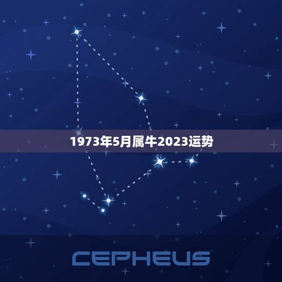 1973年5月属牛2023运势(牛年大展宏图)
