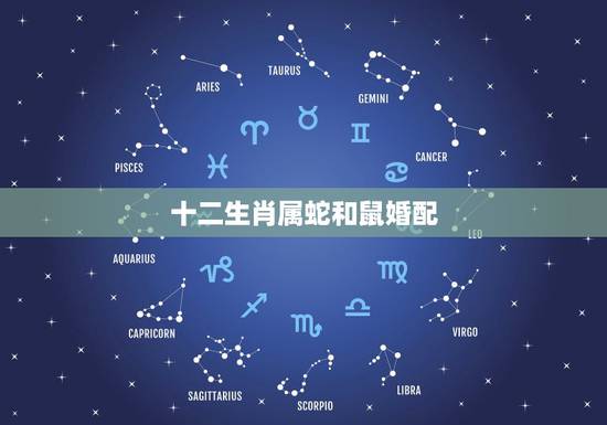 十二生肖属蛇和鼠婚配,属相婚配:男属蛇和女属鼠相配吗 十二生肖属蛇和鼠婚配,属相婚配:男属蛇和女属鼠相配吗