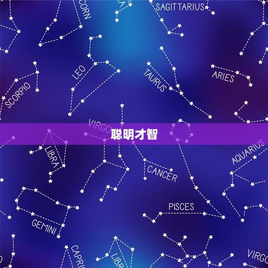聪明才智 聪明才智