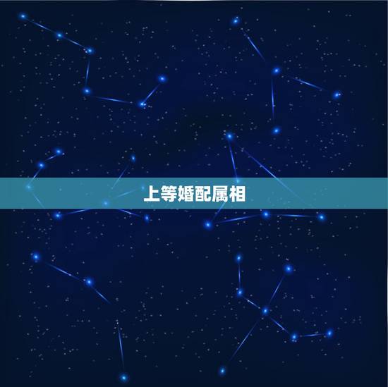 上等婚配属相,天生上上等婚配,婚后龙凤呈祥,一辈子不分离的生肖组合是哪 上等婚配属相,天生上上等婚配,婚后龙凤呈祥,一辈子不分离的生肖组合是哪