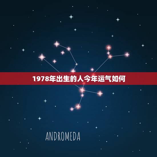 1978年出生的人今年运气如何,78年12月2日出生的属马人今年运气如 1978年出生的人今年运气如何,78年12月2日出生的属马人今年运气如