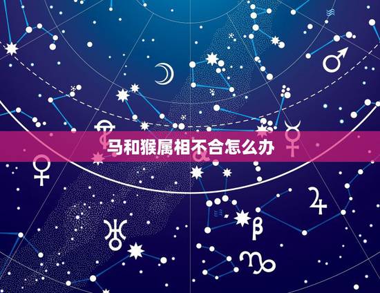马和猴属相不合怎么办，属相婚配：男属马和女属猴相配吗