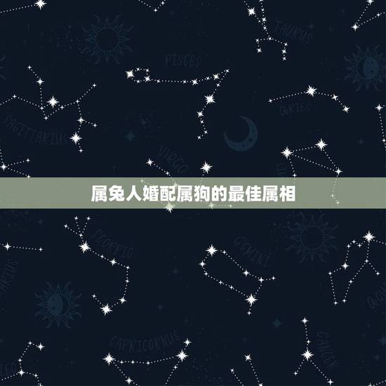 属兔人婚配属狗的最佳属相,十二生肖相生相克,属狗和属兔的般配吗? 属兔人婚配属狗的最佳属相,十二生肖相生相克,属狗和属兔的般配吗?