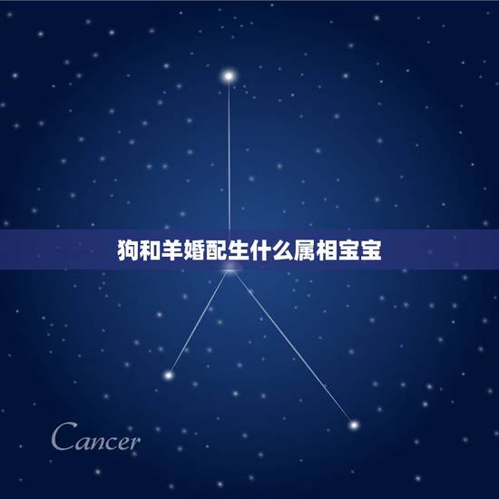 狗和羊婚配生什么属相宝宝，男羊女猴生什么属相的宝宝