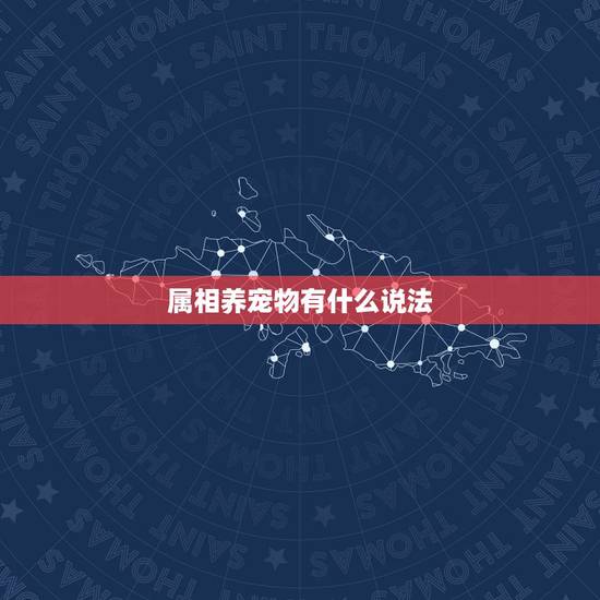属相养宠物有什么说法，养猫咪也有很大的讲究，知道什么属相的人适合养猫吗