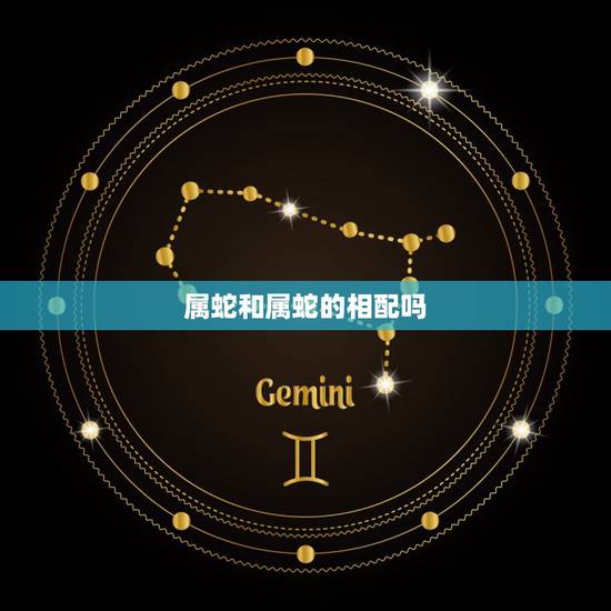 属蛇和属蛇的相配吗,男蛇女狗能过一辈子吗 属蛇和属蛇的相配吗,男蛇女狗能过一辈子吗