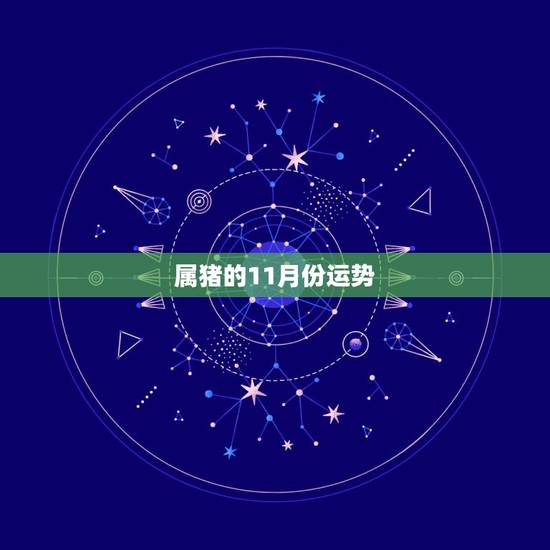 属猪的11月份运势，属猪人每月运程71年农历十一月初七生人的每月运程十