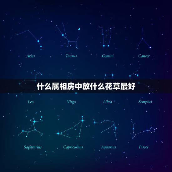 什么属相房中放什么花草最好，十二生肖养什么植物可以旺财