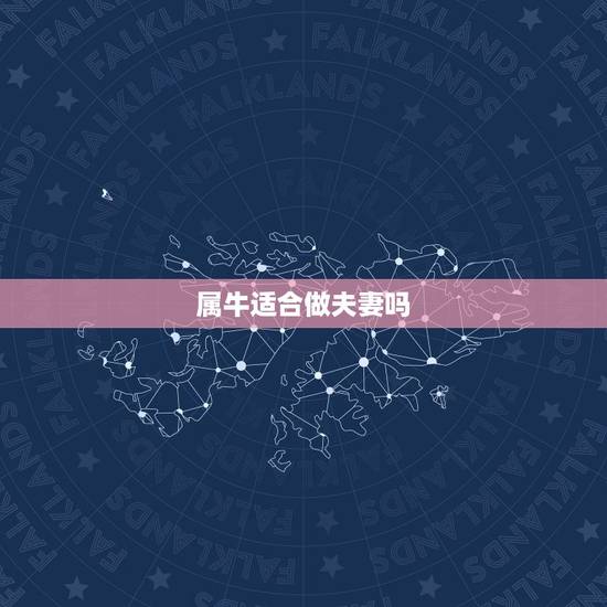 属牛适合做夫妻吗,属牛的能找属牛的做对象吗 属牛适合做夫妻吗,属牛的能找属牛的做对象吗
