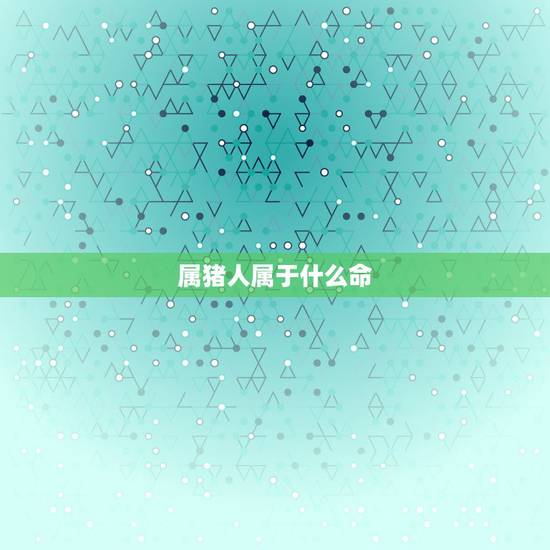 属猪人属于什么命,属猪的什么命 属猪人属于什么命,属猪的什么命