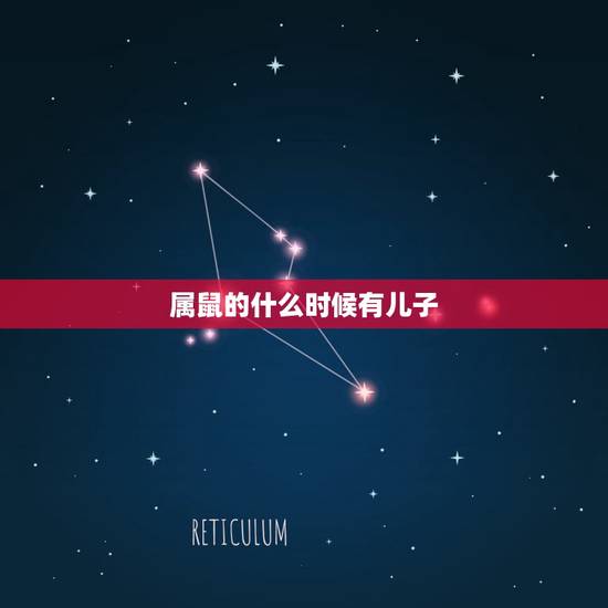 属鼠的什么时候有儿子，属鼠的有儿子吗