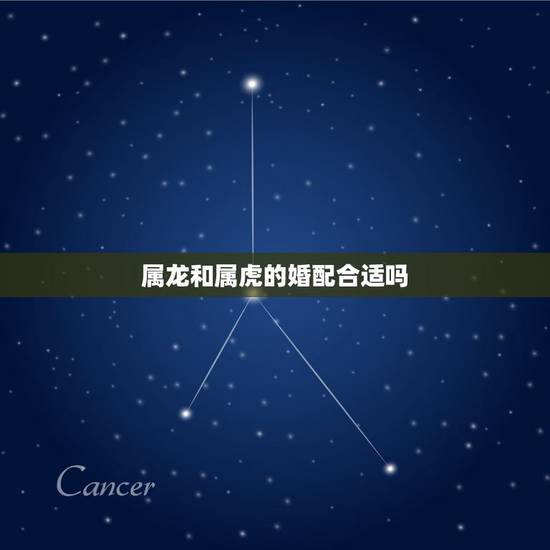 属龙和属虎的婚配合适吗,属狗的一生运气 属龙和属虎的婚配合适吗,属狗的一生运气