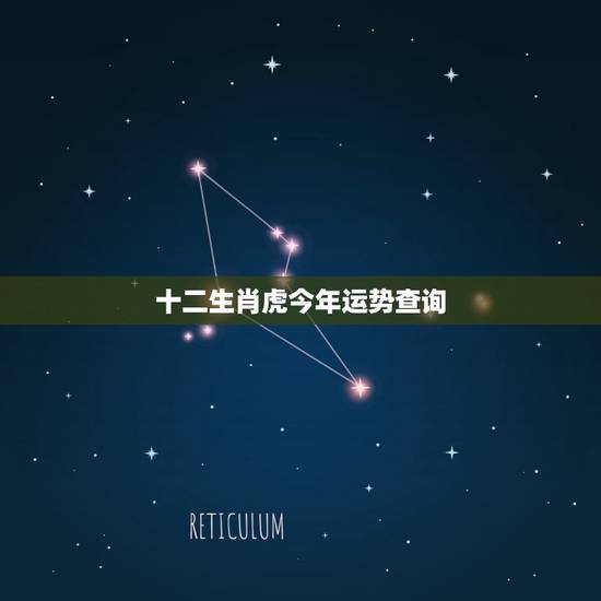 十二生肖虎今年运势查询 2022年流年测算 十二生肖虎今年运势查询 2022年流年测算