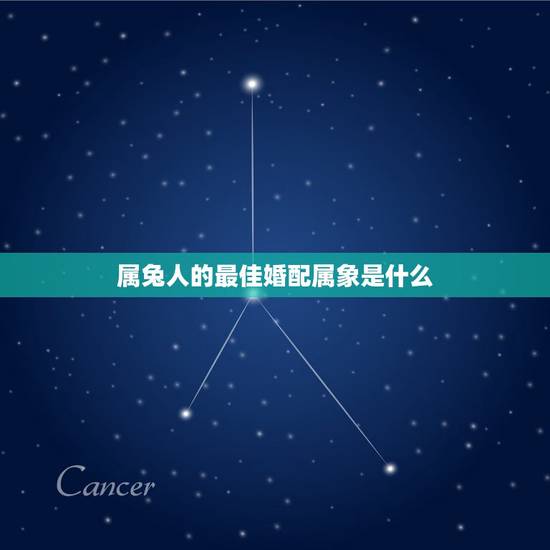 属兔人的最佳婚配属象是什么，属兔的和哪几个属性是最佳配偶