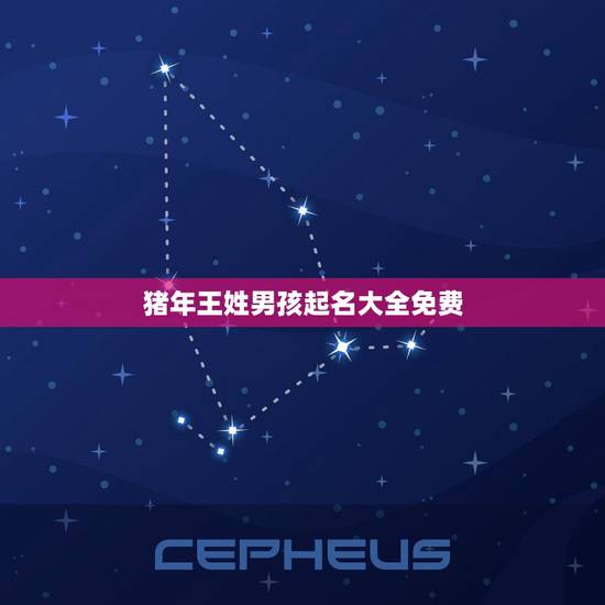 猪年王姓男孩起名大全免费 王姓简单顺口的男孩名字