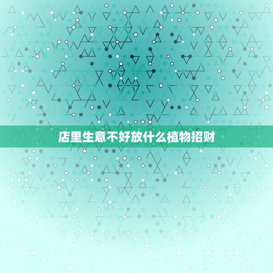 店里生意不好放什么植物招财，店里可以摆假花吗？风水一说