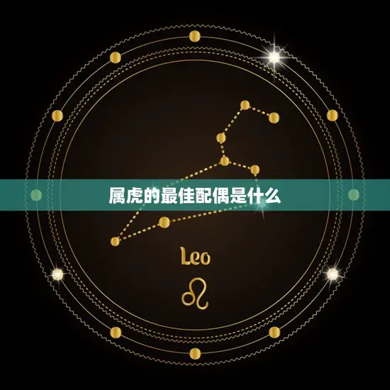 属虎的最佳配偶是什么 属虎的最佳配偶是什么