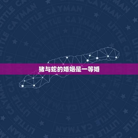 猪与蛇的婚姻是一等婚,蛇男为什么喜欢猪女 猪与蛇的婚姻是一等婚,蛇男为什么喜欢猪女