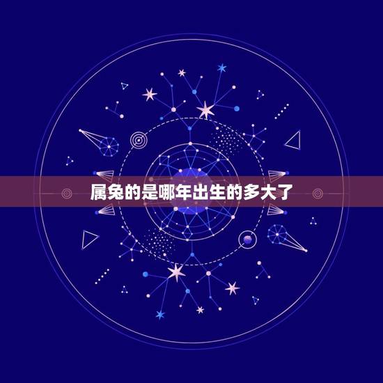 属兔的是哪年出生的多大了,属兔今年都多大? 属兔的是哪年出生的多大了,属兔今年都多大?