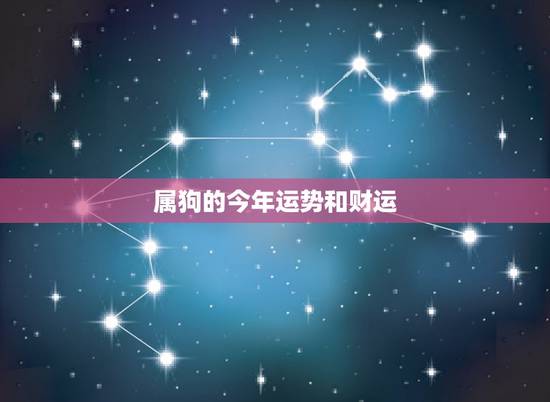 属狗的今年运势和财运，2021年属龙女下半年财运