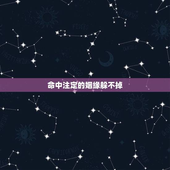 命中注定的姻缘躲不掉 命中注定的姻缘躲不掉真实故事 命中注定的姻缘躲不掉 命中注定的姻缘躲不掉真实故事