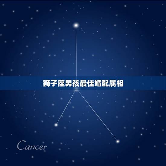 狮子座男孩最佳婚配属相，属相兔狮子座的最佳配偶