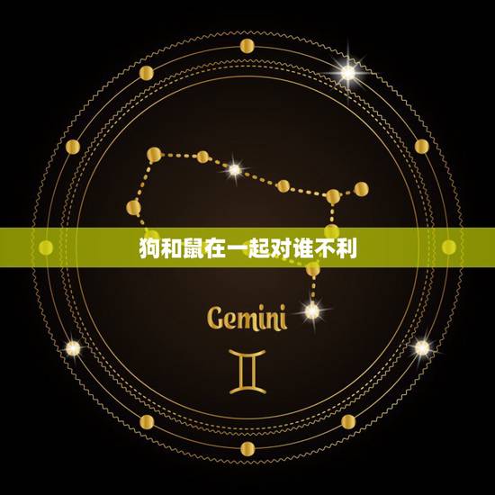 狗和鼠在一起对谁不利，94狗男和96鼠的姻缘