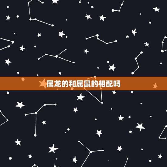 属龙的和属鼠的相配吗，属龙的和属鼠的合不合