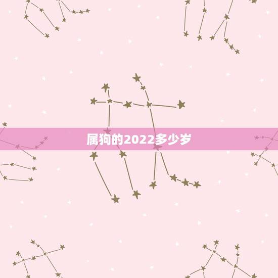 属狗的2022多少岁，2022年属虎的是什么命