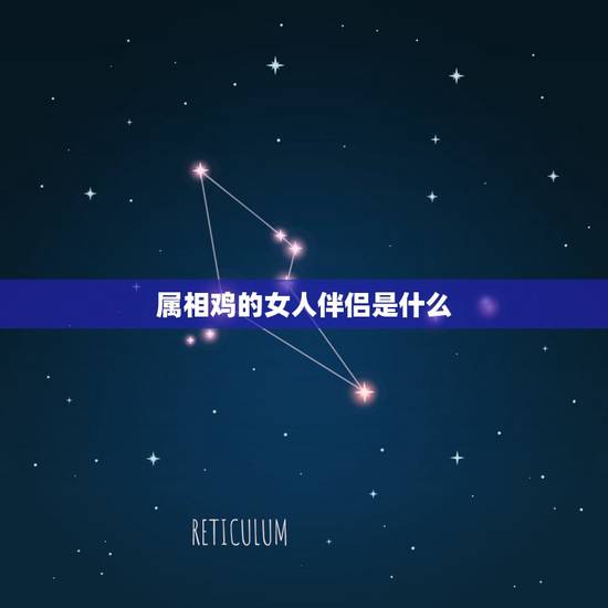 属相鸡的女人伴侣是什么，属鸡和什么属相最配