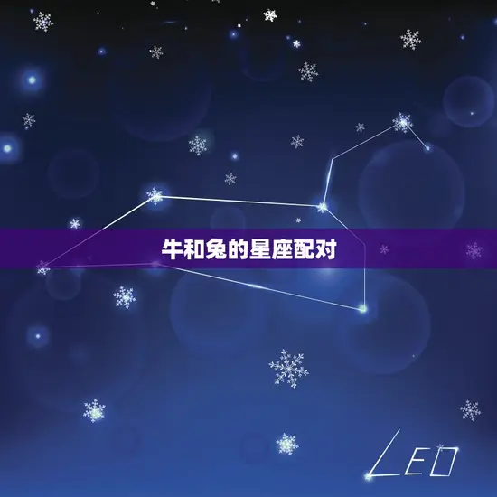 牛和兔的星座配对 牛和兔的星座配对