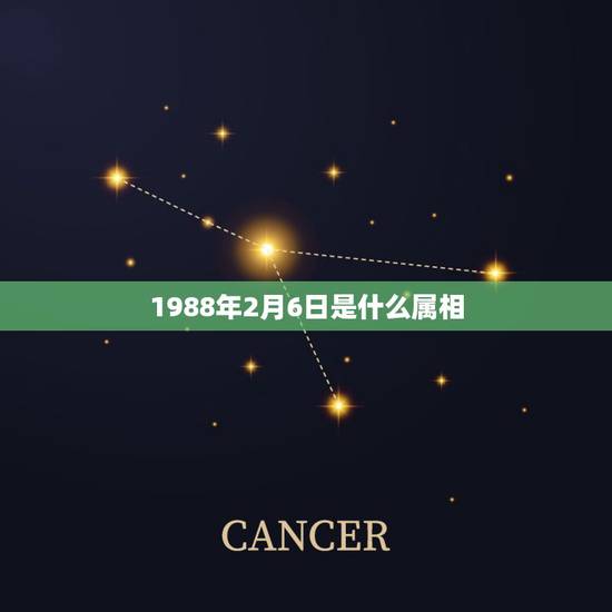 1988年2月6日是什么属相，1988年2月6日属相2015年的运程