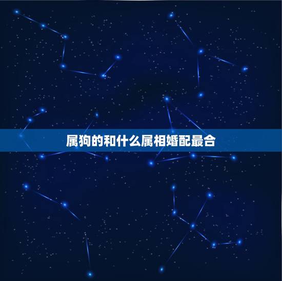 属狗的和什么属相婚配最合,属狗的和什么属相最配 属狗的属相婚配表 属狗的和什么属相婚配最合,属狗的和什么属相最配 属狗的属相婚配表