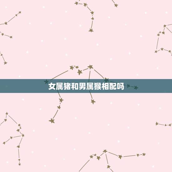 女属猪和男属猴相配吗，男方属猪女方属猴能结婚吗