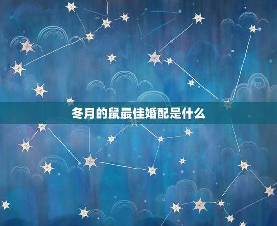 冬月的鼠最佳婚配是什么,属鼠的和什么属相最配 属鼠的属相婚配表 冬月的鼠最佳婚配是什么,属鼠的和什么属相最配 属鼠的属相婚配表