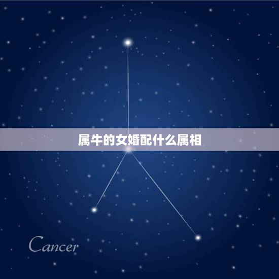 属牛的女婚配什么属相，属牛女和什么属相最配
