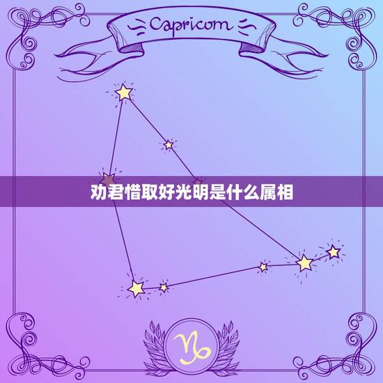 劝君惜取好光明是什么属相，劝君惜取好光阴，花红天蓝莫沉吟.解什么生肖