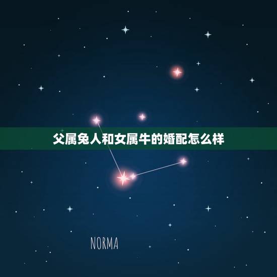 父属兔人和女属牛的婚配怎么样,属相婚配:男属兔和女属牛相配吗? 父属兔人和女属牛的婚配怎么样,属相婚配:男属兔和女属牛相配吗?
