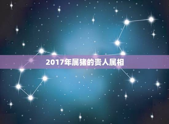 2017年属猪的贵人属相，属猪的贵人是什么属相2015年
