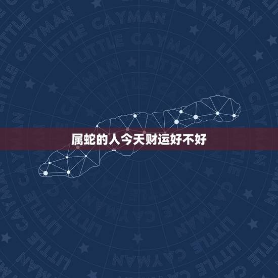 属蛇的人今天财运好不好，属蛇人2022 年运势