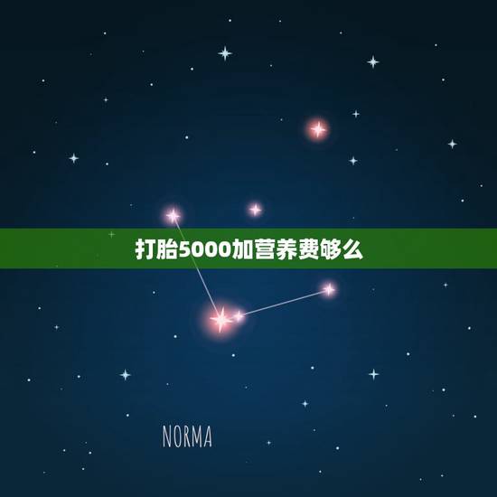 打胎5000加营养费够么,3万块钱打胎营养费多吗 打胎5000加营养费够么,3万块钱打胎营养费多吗